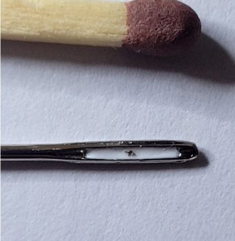 ‘Camel in the eye of a needle’ NFT with Physical microminiature.
