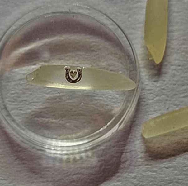 Horseshoe and Heart on a grain of rice. Micro miniature.