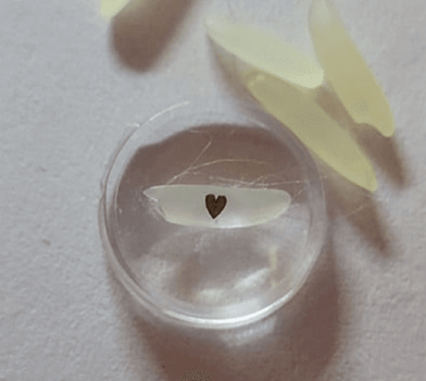 Bronze Heart on a grain of rice. Micro Art.