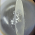Parrot In The Eye Of A Needle. Micro miniature.