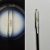 Parrot In The Eye Of A Needle. Micro miniature.