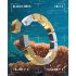 Desert Kernel Physical NFT