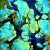Reef Abstract NFT physical printing
