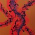 Flower Storm NFT/Physical Art
