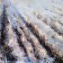 Dream Sea NFT Physical Photo Art